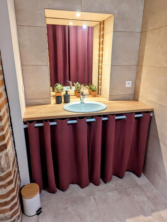 Douceur, Elegance Au Coeur D'Albi Apartment Exterior photo